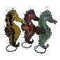 Seahorse old iron, different colours  21x46cm (7759)