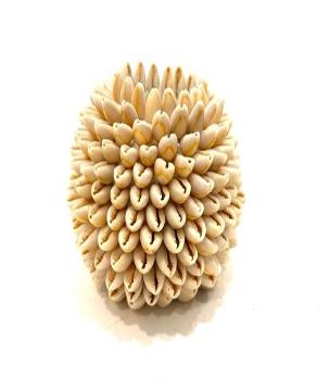 Candleholder shell D12H9cm (3965)