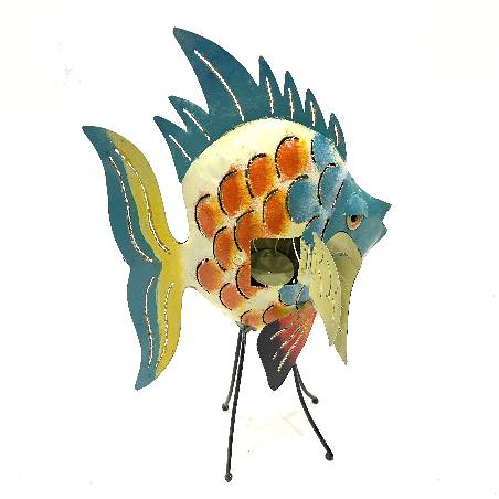 Fish Dorang S (3991)
