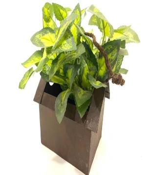 House planter (80033)