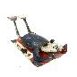 Frog sunbathing (80148)