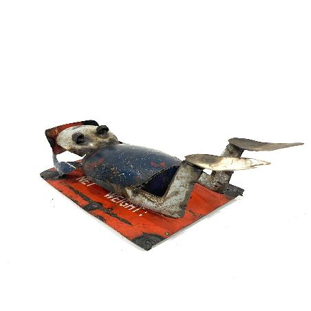 Frog sunbathe (80148)