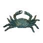 Crab weight (80156)