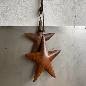 Star rusty S 16x16cm (80159)