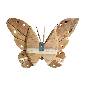 Butterfly Akar S 30x35 (80184)