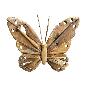 Butterfly Akar M 40x45 (80185)