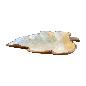 Leave tray shell A (80304)