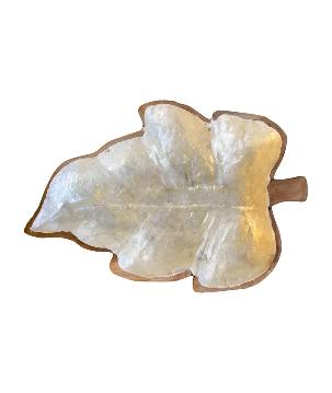 Leave tray shell A (80304)