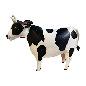 Cow metaal S (80346)