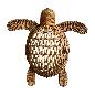 Turtle waterh. L (80389)