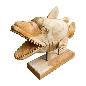 Piranha fish (80421)