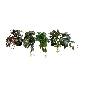Hangplant in pot 50cm L (80523)