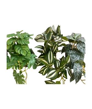 Hangplant in pot 50cm L (80523)