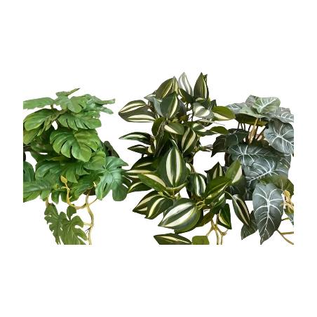 Hangplant in pot 50cm L (80523)