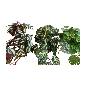 Hangplant in pot 50cm L (80523)