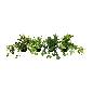 Hangplant in pot 25cm S (80524)