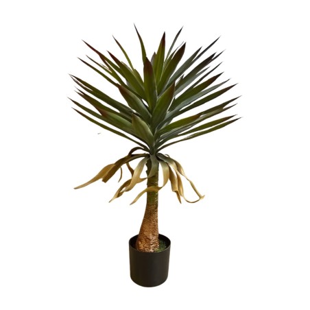 Yucca-Pflanze 90 cm