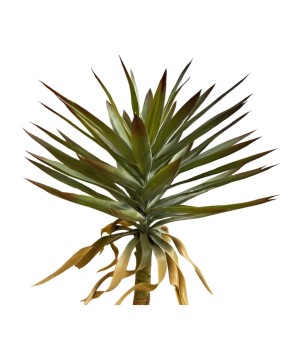 Yucca plant 90cm