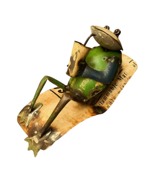 Frog relaxing H26 (80147)