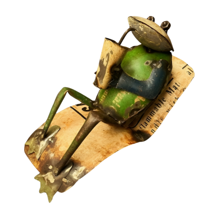 Frog relaxing H26 (80147)