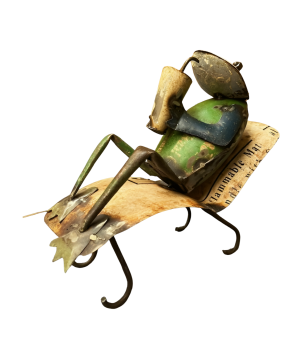 Frog relaxing H26 (80147)