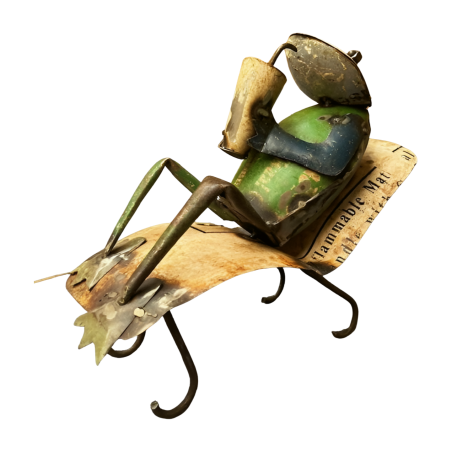 Frog relaxing H26 (80147)