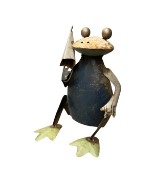 Frog sitting S umbrella