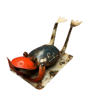 Frog sunbathe (80148)
