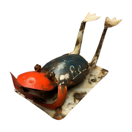 Frog sunbathe (80148)