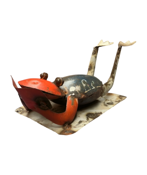 Frog sunbathe (80148)