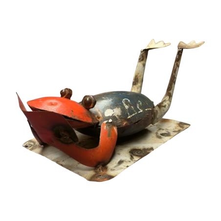 Frog sunbathe (80148)