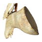 Moose wallhanger 50x60cm