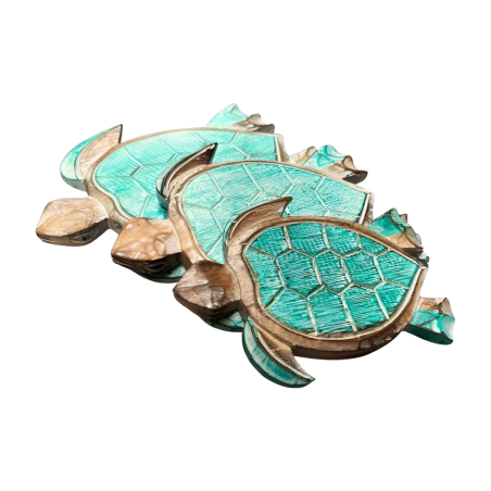 Turtle S/3 turq. (3875)