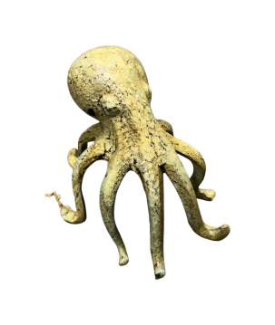Octopus (3979)