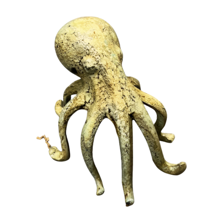 Octopus (3979)