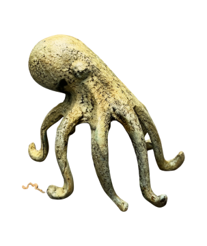 Octopus (3979)