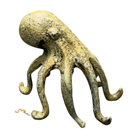 Octopus (3979)