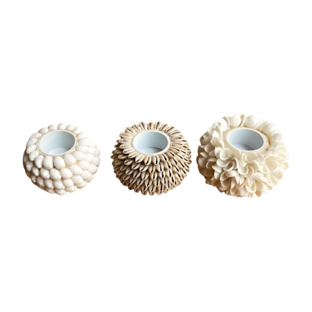 Candleholder shellD11H8cm(80633)