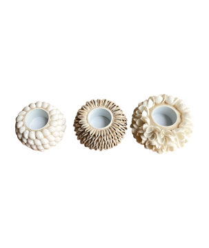 Candleholder shellD11H8cm(80633)