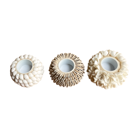 Candleholder shell D11H8cm(80633)