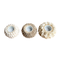 Candleholder shellD11H8cm(80633)