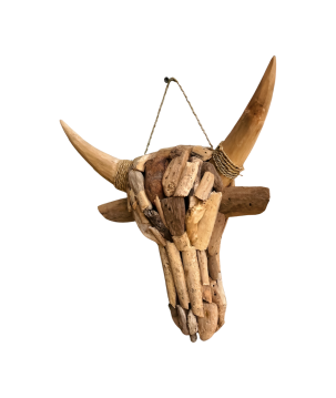 Skull driftwood S (5872)