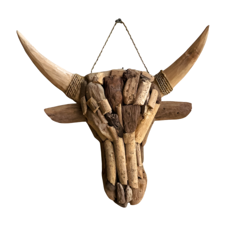 Skull driftwood S (5872)