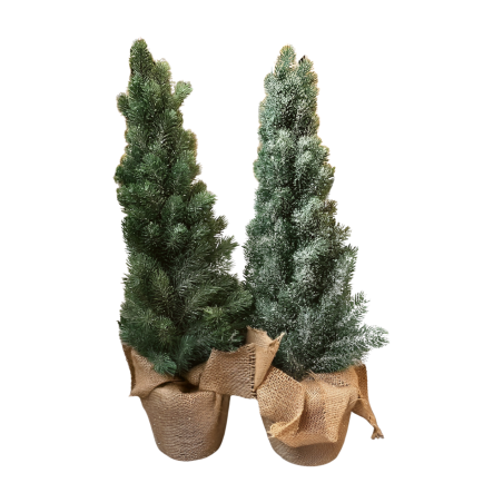 Denneboom 65cm(80765)