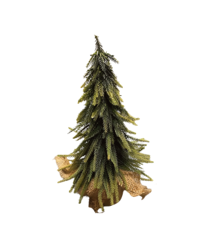 Denneboom in pot 35cm(80766)