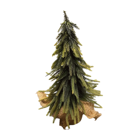 Denneboom in pot 35cm(80766)