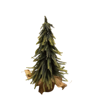 Denneboom in pot 35cm(80766)