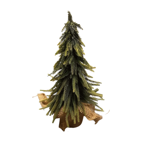 Denneboom in pot 35cm(80766)