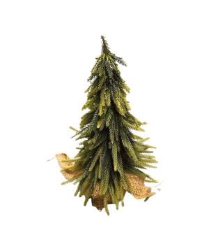 Denneboom in pot 35cm(80766)