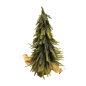 Denneboom in pot 35cm(80766)